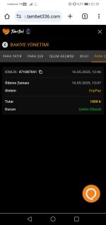 Screenshot_20250516-213159.jpg