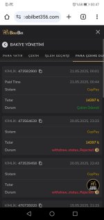 Screenshot_20250521-004713.jpg