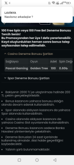 Screenshot_20250523-163356.png