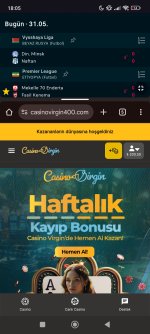 Screenshot_2025-05-31-18-05-05-286_com.android.chrome.jpg