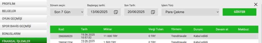 Ekran görüntüsü 2025-06-20 011159.png