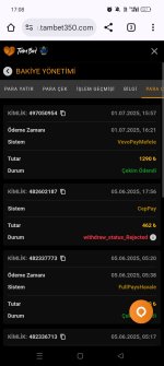 Screenshot_2025-07-01-17-08-51-94_40deb401b9ffe8e1df2f1cc5ba480b12.jpg