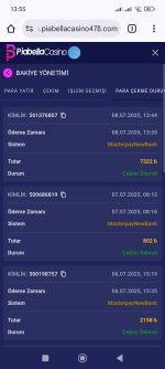 Screenshot_2025-07-08-13-55-58-750_com.android.chrome.jpg