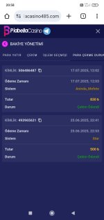 Screenshot_2025-07-17-20-58-41-475_com.android.chrome.jpg