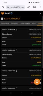 Screenshot_2025-07-18-17-17-33-98_40deb401b9ffe8e1df2f1cc5ba480b12.jpg