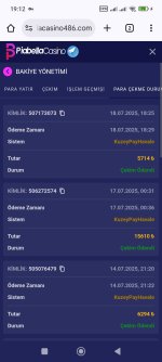 Screenshot_2025-07-18-19-12-14-647_com.android.chrome.jpg