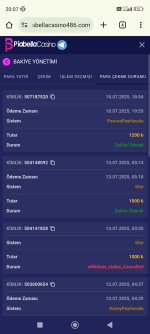Screenshot_2025-07-18-20-07-09-582_com.android.chrome.jpg