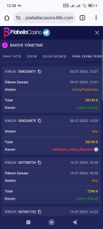 Screenshot_2025-07-20-13-38-14-049_com.android.chrome.jpg