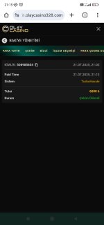 Screenshot_2025-07-21-21-15-35-903_com.android.chrome.jpg