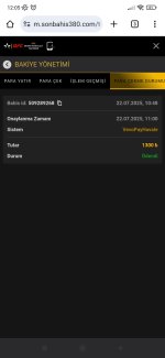 Screenshot_2025-07-22-12-05-21-986_com.android.chrome.jpg