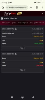 Screenshot_2025-07-23-22-52-16-925_com.android.chrome.jpg
