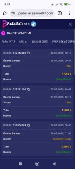 Screenshot_2025-07-28-00-45-44-640_com.android.chrome.jpg