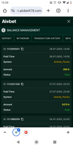 Screenshot_20250728-160803.png