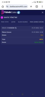 Screenshot_2025-07-31-21-08-56-788_com.android.chrome.jpg