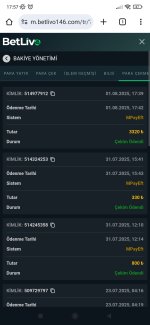 Screenshot_2025-08-01-17-57-30-873_com.android.chrome.jpg