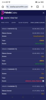 Screenshot_2025-08-04-23-44-57-363_com.android.chrome.jpg