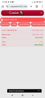 Screenshot_2025-08-11-00-25-15-854_com.android.chrome.jpg