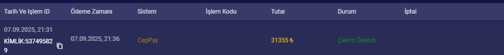 1757274049772.png