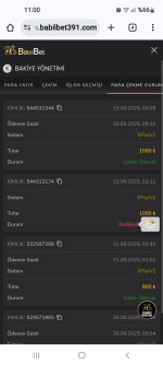 Screenshot_20250919-110014_Chrome.jpg