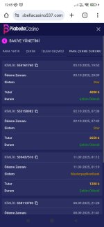 Screenshot_2025-10-04-12-05-08-247_com.android.chrome.jpg